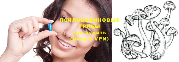МДПВ Бронницы