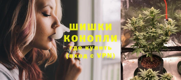 МДПВ Бронницы