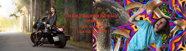 МДПВ Бронницы
